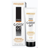 . CHANTAL Farba Intensis Color Art 100g 73 odcienie